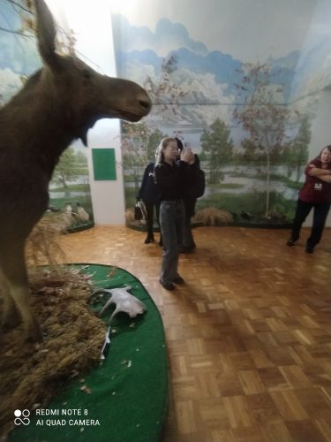 0-02-05-77a7a0ab63850771a2d04dab191a2937d48c6d6531b52e47246fa50f98e1cefa_81fb7bf42d9942b6