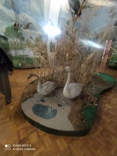 0-02-05-c61f8e6c92bcb17f535a2a4c6f6ee1be37e5bf8e2ab92c0841b9316d76219a5e_de65d0dc21e1e953