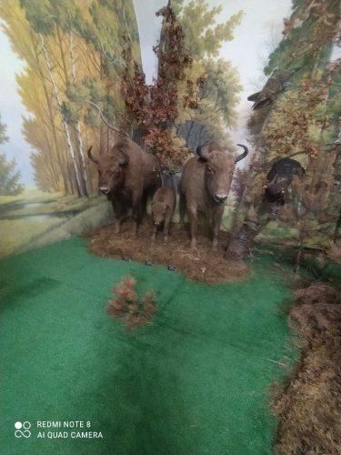 0-02-05-efdc76ed06962e8ad97a6693c813f27c36fa6147cc2ffcad5c964fb63d44cf4a_a6778312fe74eaaf