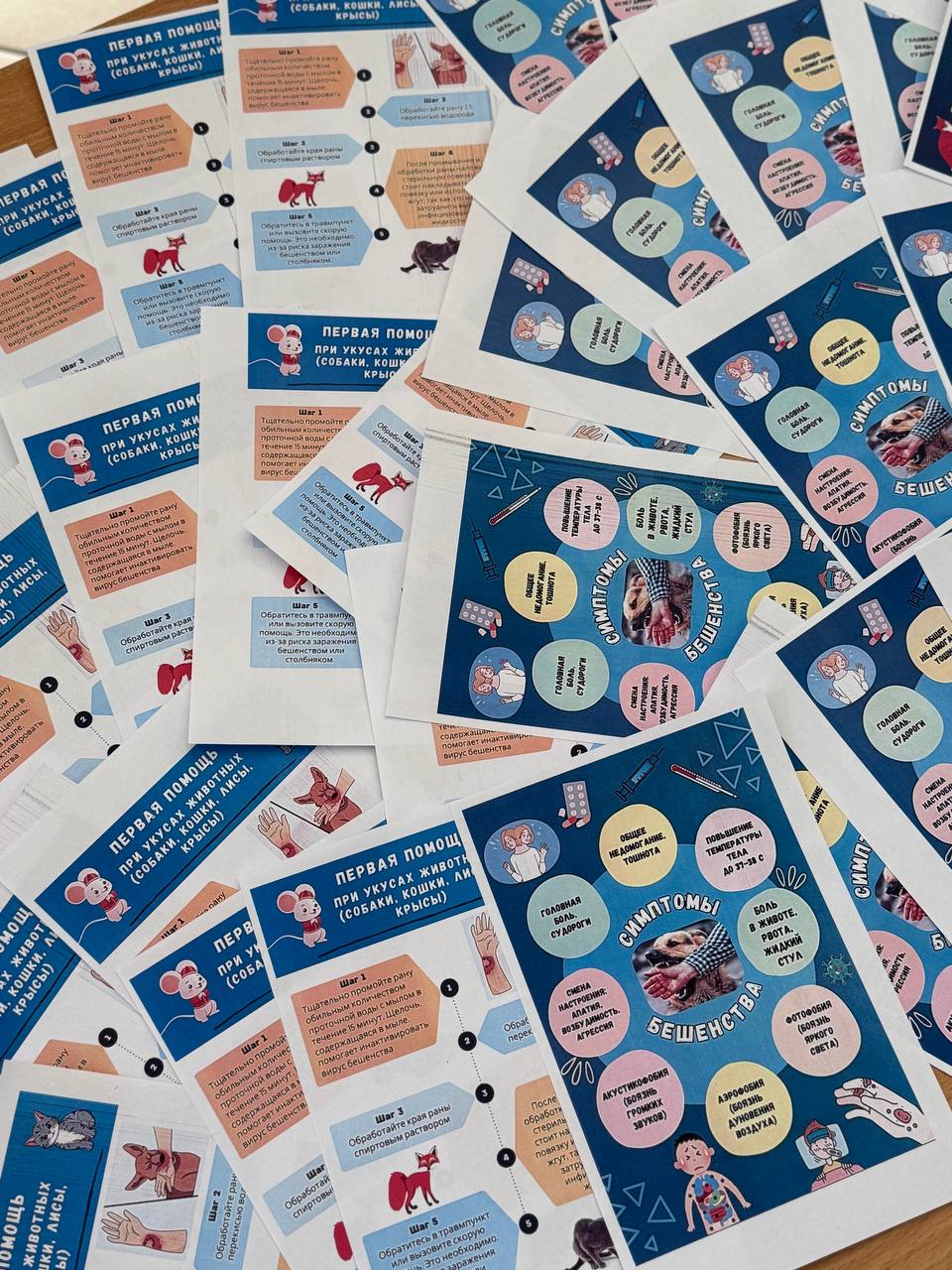 Read more about the article Симуляционный тренинг «Оказание первой помощи при укусах и иных телесных повреждений, нанесенных животными»