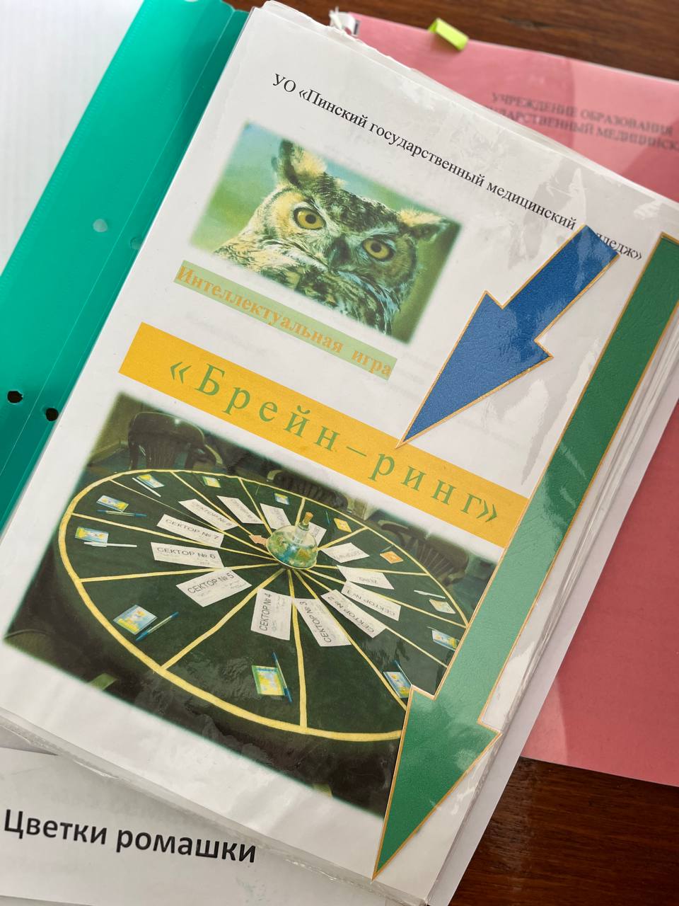 Read more about the article Брейн-ринг по латинскому языку
