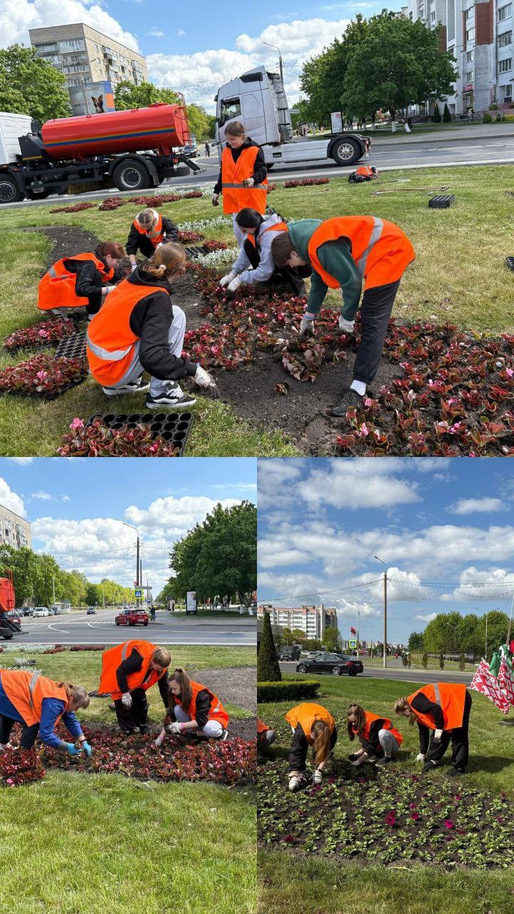 Read more about the article Пусть сияет ярче солнце, и цветут вокруг цветы!