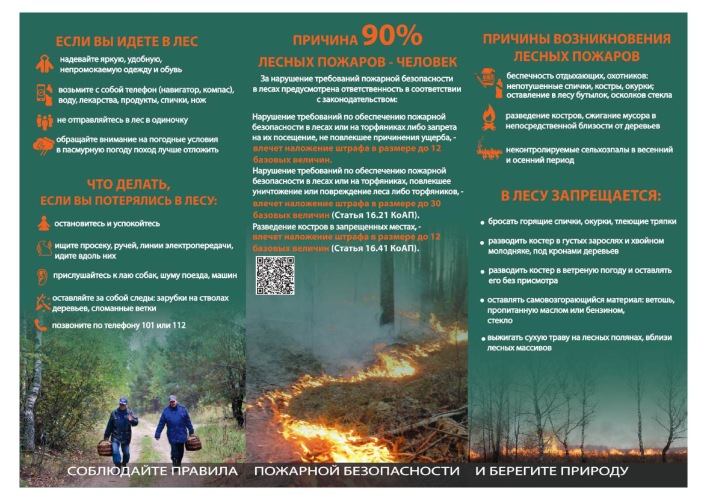 image_2025-10-30_145908261