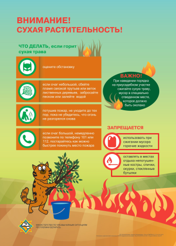 image_2025-10-30_145929017