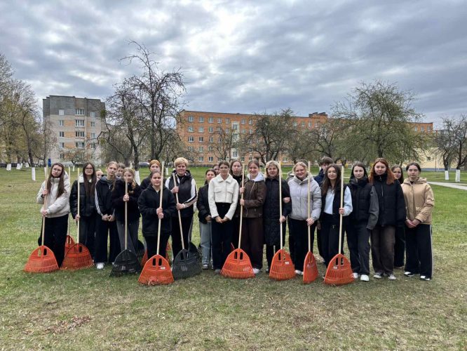 изображение_viber_2026-04-17_08-05-43-435