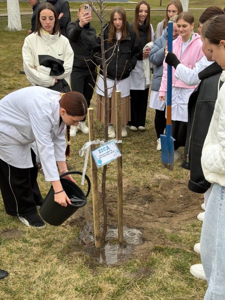 photo_7_2026-03-20_15-36-05