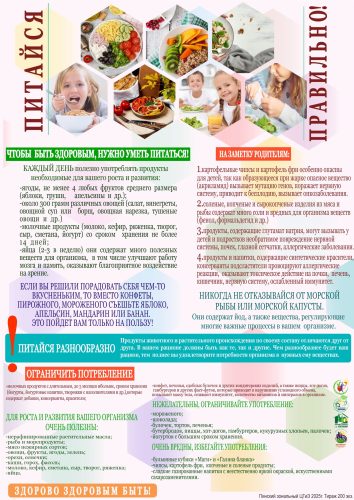 питание 2025-2